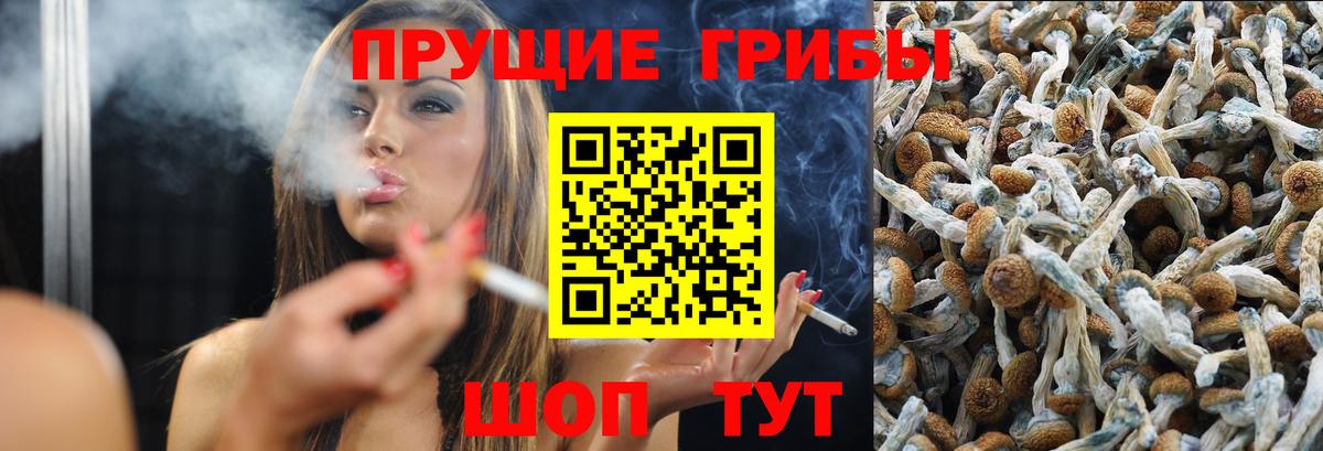 Галлюциногенные грибы GOLDEN TEACHER  Галлюциногенные грибы мухоморы  Вход с VPN  Унеча 